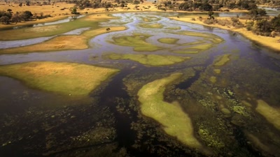 Rather than flow to the sea, - A Year on Planet Earth