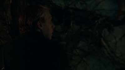 Rats, bats, who knows? - Guillermo del Toro's Cabinet of Curiosities