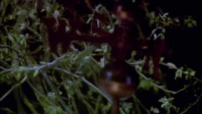 (rattles) - Eureka!