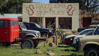 (rattlesnake rattling) - Raise Hell: The Life & Times of Molly Ivins