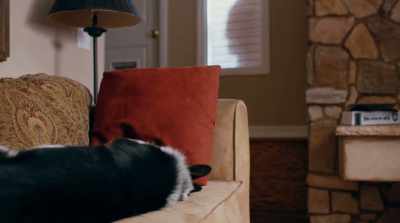 [rattling] - Pups Alone