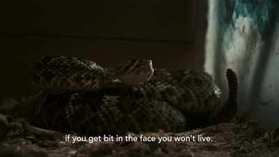 (RATTLING) - Alabama Snake