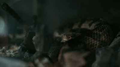 (RATTLING) - Alabama Snake
