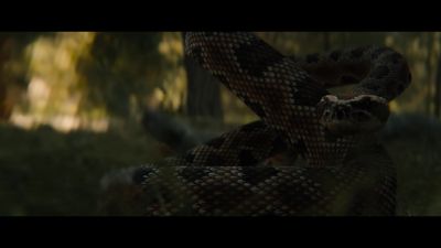 [rattling] - Prey