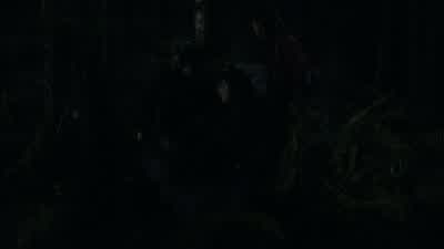 Raven, I'm sorry. - The 100