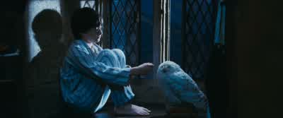 Ravenclaw, follow me. - Harry Potter and the Philosopher's Stone