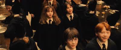 ...Ravenclaw and Slytherin. - Harry Potter and the Philosopher's Stone