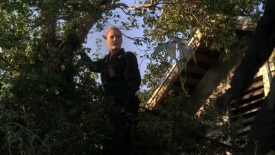 Ray! - CSI: Crime Scene Investigation