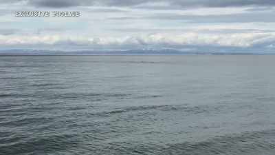 Raymond Wassille
is a native elder. - The Alaska Triangle