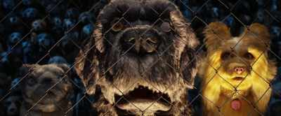 Re-election Night: - Isle of Dogs