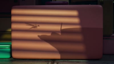 - Ready, my dear?
- Ready- - Inspector Sun and the Curse of the Black Widow