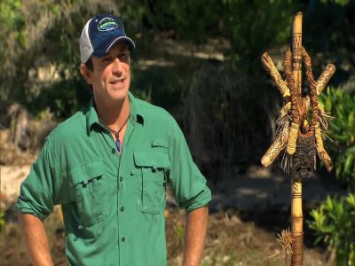 - ready to get to today's Immunity challenge.
- yup. yes,sir. - Survivor