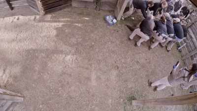 Ready? One, two, three. - Secrets of the Zoo