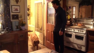 Ready for some breakfast, boy? - Smallville