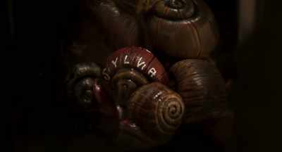 Real ones hoard together
when threatened. - Memoir of a Snail