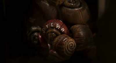 Real ones horde together
when threatened. - Memoir of a Snail
