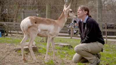 Really, every time they
run around and play, - Secrets of the Zoo