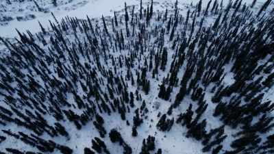 Really, we hunt
because it's our way of life. - Life Below Zero: First Alaskans