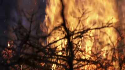 Really makes me realize the
destructive power of a fire. - Life Below Zero: Next Generation