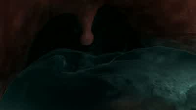 Really? - Finding Nemo