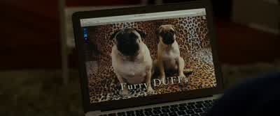 Really? - The DUFF