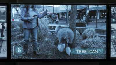 Really? What is it
with dogs and trees? - Cats & Dogs 3: Paws Unite