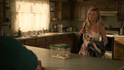 -Really?
-You are very lucky - On Becoming a God in Central Florida