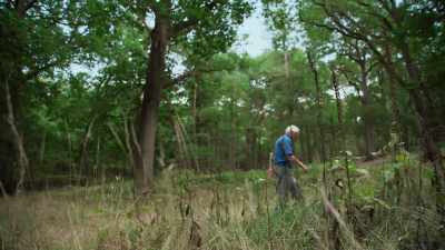 Recent discoveries have revealed - Attenborough's Life in Colour