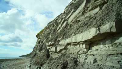 Recently, he came
across a boulder - Attenborough and the Sea Dragon