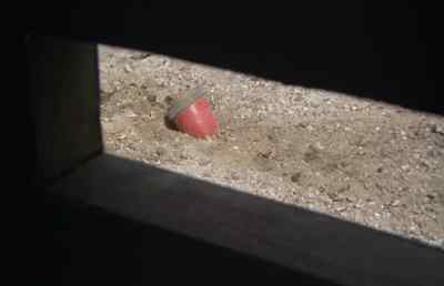 Red Leader, Red
Leader, this is Seagull. - Adolf Hitler - My Part in His Downfall