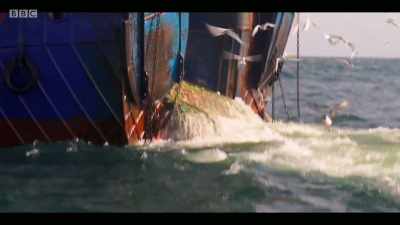 Reducing fishing in an area
can get a population back - Extinction: The Facts