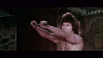 Reflecting on Dragon Lee,
I get a bit emotional. - Enter the Clones of Bruce