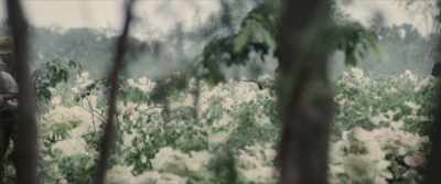 [reflective music continues] - 3 Days in Malay