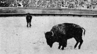 Refusing to move, he knocked
them down one after another. - The American Buffalo