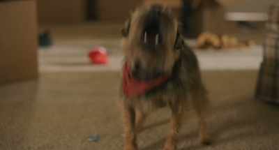 REGGIE (laughs): And that's
how I know I won the game. - Strays