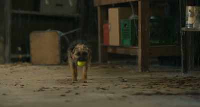REGGIE: Sure, Doug really
challenges me with this game, - Strays