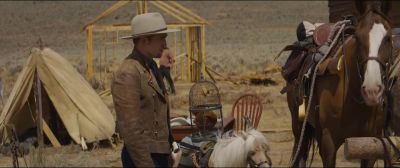 Regular horses don't have names - Damsel