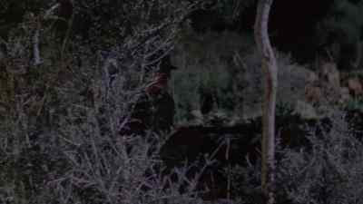 Reilly, do you hear something? - Sharpe's Siege