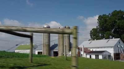 Reinaker: There are
some horrific examples - Sins of the Amish