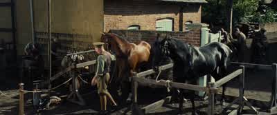Relax. Easy easy, back up. - War Horse