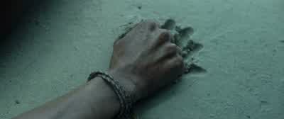 Relax. Relax. Breathe. Breathe. - The Shallows
