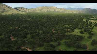 (relaxing music) - The History of Home Narrated by Nick Offerman