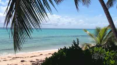 (relaxing music)
♪ - Island of Bryan