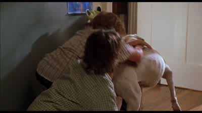 Release the hound - Cheaper by the Dozen