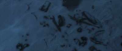 Remains of a campfire
were found, - Amundsen