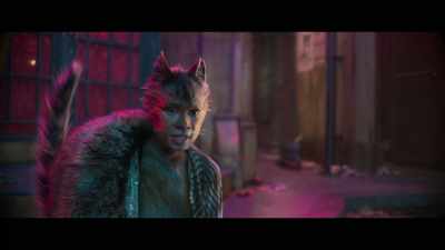 ♪ Remark the cat ♪ - Cats