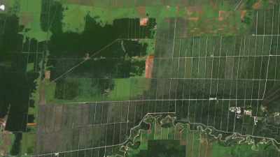 Remarkably, it's possible to restock
even highly degraded land - The Green Planet