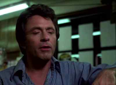Remember, David, - The Incredible Hulk