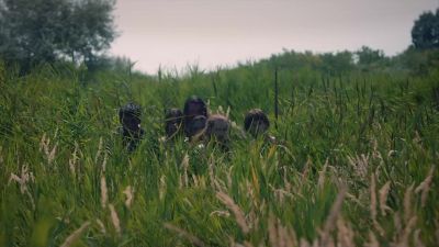 Remember, don't kill them,
just make them mad. - The Last Kingdom