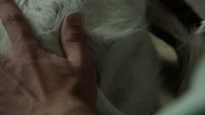 Remember, for intramuscular injections in the hind leg... - Teen Wolf